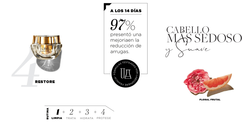 L’bel Latin American beauty brand catalog graphic design 